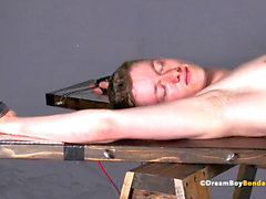 Gay bdsm, bound balls handjob, gay handjob