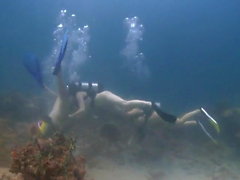 Three Girls Scuba