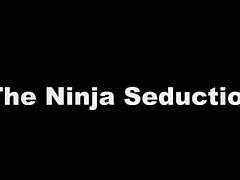 The Ninja di seduzione