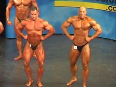 muscledad (# 1) compositores brillantes verdes = oink!