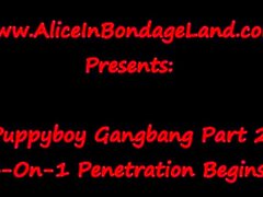 BBW Femdom con Puppyboy Gangbang feat. Penetrazione anale -