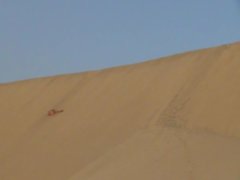 homme nu sur d'énormes dunes