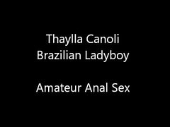 Thaylla Canolli Shemale brasileiro