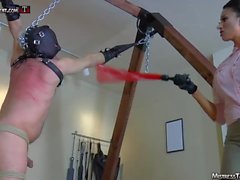 Femdom chicoteando galo tortura e pisoteio por MIstress