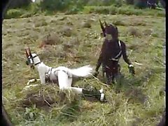 Ponybabes walking in the park