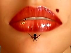 Formigas e lábios