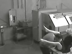 Security cam compilation