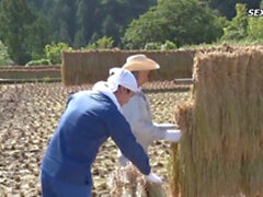 Farmer's Breide (Ang Sub) (New! 2 февраля 2022) - SunPorno