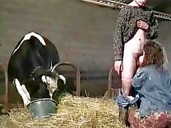 Oralsex à la ferme