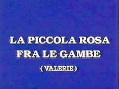 Classica italiana - La piccola di rosa tradizio a Le gambe