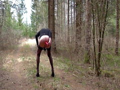 Streaptease en el bosque