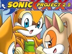 projet de Sonic xxx à 2,5