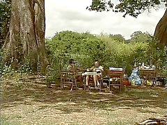 A DBM - Parque Safari